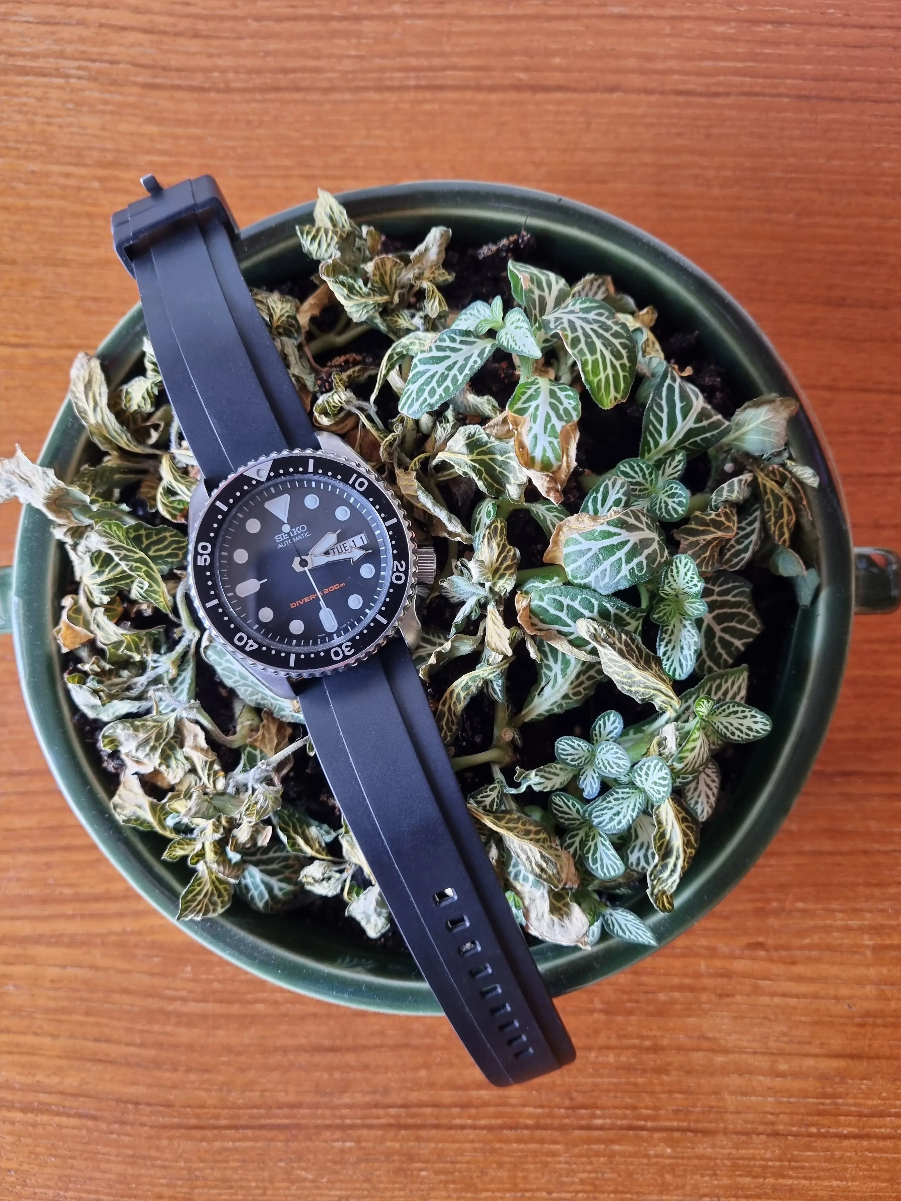 Ett svart gummi klockarmband på en Seiko SKX007 som ligger i en krukväxt på ett brunt bord